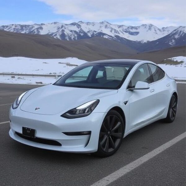Tesla Model 3 Long Range AWD